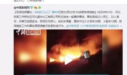 河北邢台爆料新闻事件视频,视频揭露惊人一幕
